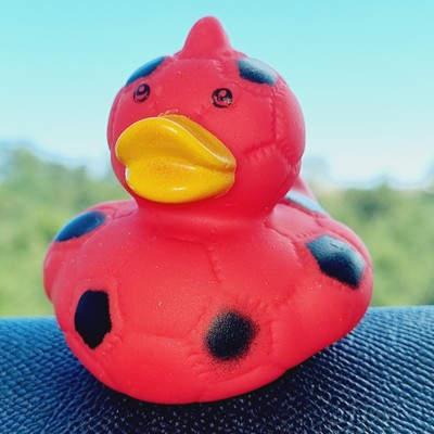 ⚽️🐥 Red Soccer Ball Rubber Duck Jeep Ducking 🛻 Jeep Wrangler Accessory