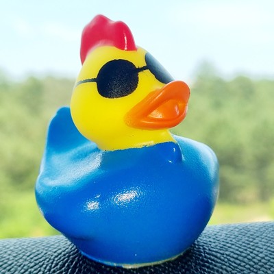 🕶🐥 Rooster Sunglasses Jeep Ducking 🛻 Jeep Wrangler Accessory