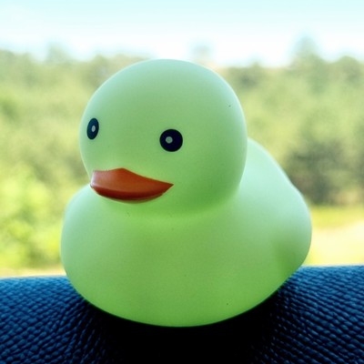 🫒🐥 Pastel Green Rubber Duck Jeep Ducking 🛻 Jeep Wrangler Accessory