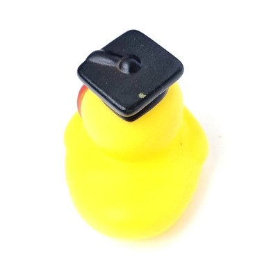 🎓🐥 Graduation Rubber Duck Jeep Ducking 🛻 Jeep Wrangler Accessory