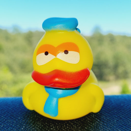🤨🦆 Grumpy Rubber Duck Jeep Ducking 🛻 Jeep Wrangler Accessory