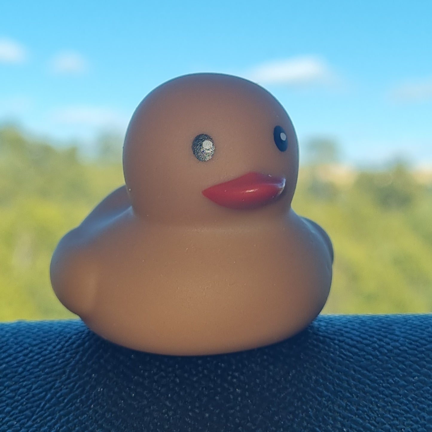 🟤🐥 Brown Baby Mini Rubber Duck Jeep Ducking 🛻 Jeep Wrangler Accessory