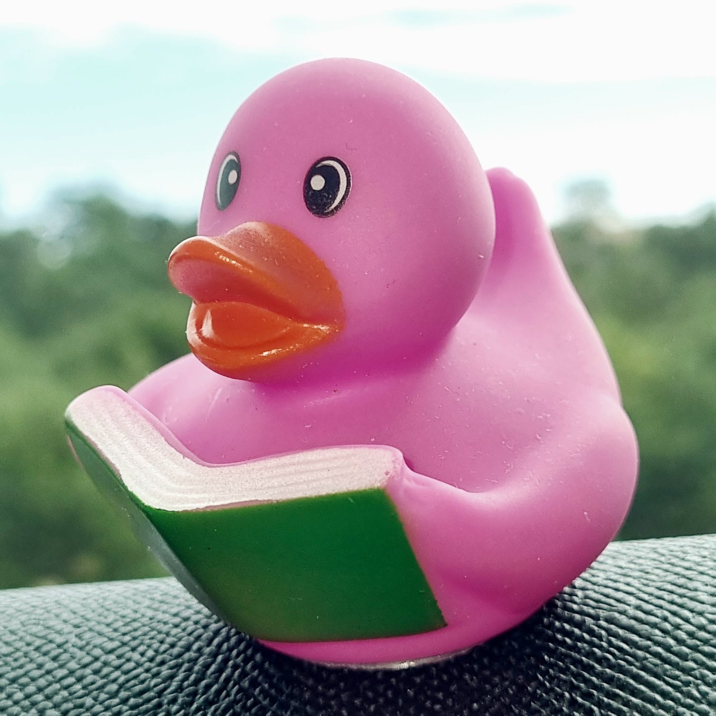📖🐥 Pink Bookworm Rubber Duck Jeep Ducking 🛻 Jeep Wrangler Accessory